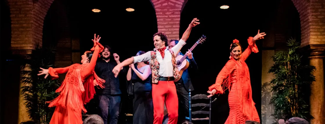 'Flamenco Dreams Show' at Seville Flamenco Dance Museum