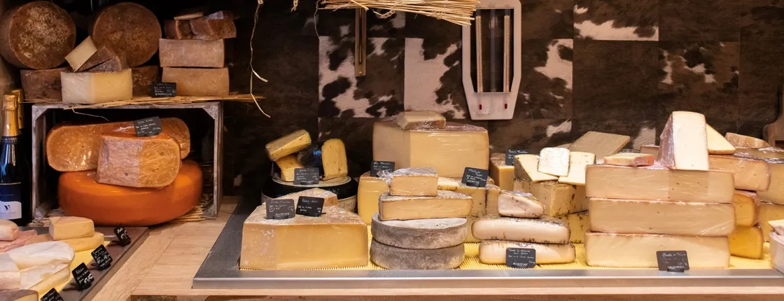 Gourmet and vineyards tour for small groups in Bordeaux