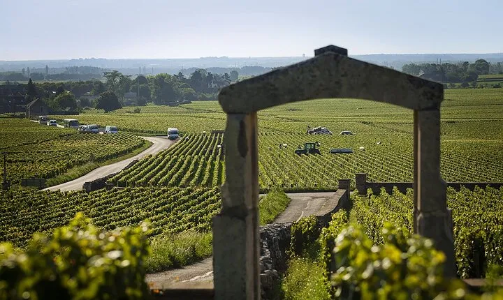 Private Wine Tasting Tour - Burgundy Uncorked!!