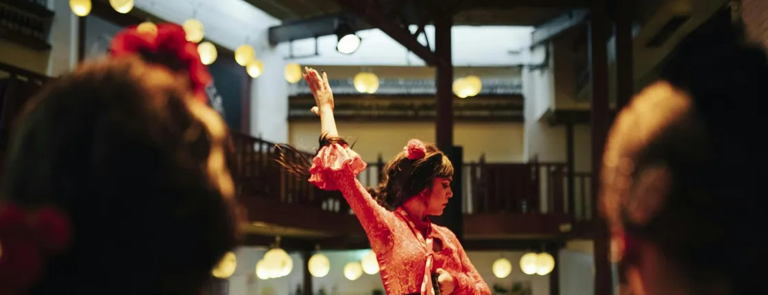 Flamenco show with gourmet Spanish dinner and entry to Poble Espanyol