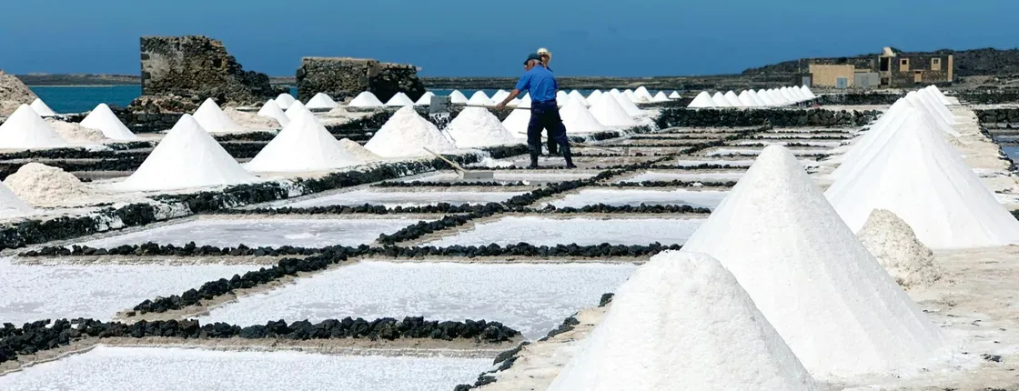 Salinas de Janubio Salt Flats Ticket