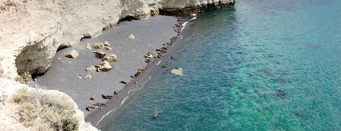 Puerto Madryn private tour and Punta Loma sea lions reserve visit