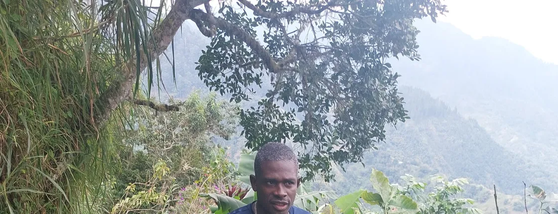 Authentic Blue Mountain Coffee Guided Tour