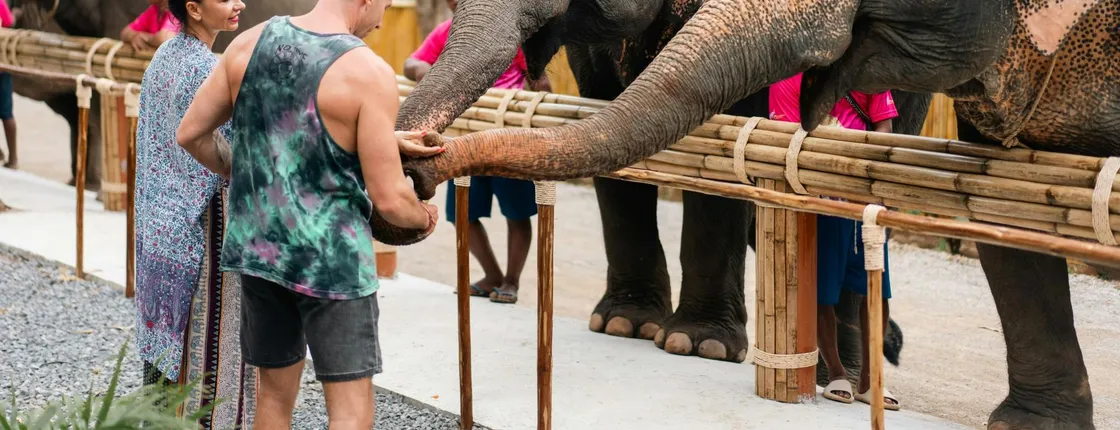 Half-day elephant sanctuary visit in Phuket