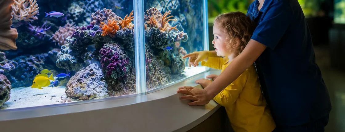 Aquarium du Grand Lyon entrance ticket and 1GB eSIM