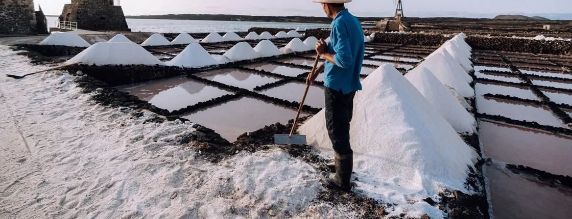 Guided tour to the Salinas de Janubio