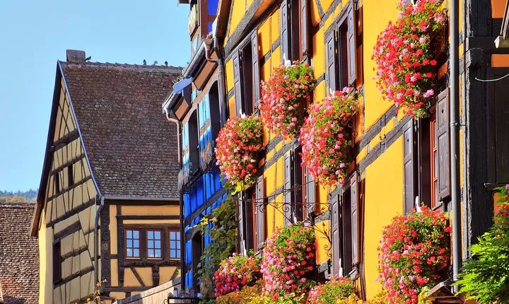 Alsace's Gems Small Group Day Tour from Colmar
