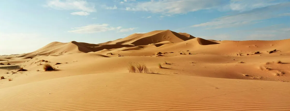 Half-Day Guided Tour to Sahara Dunes from Agadir
