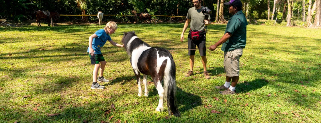 Quepos Farmers Market Tour & Cooking Class with Transfer