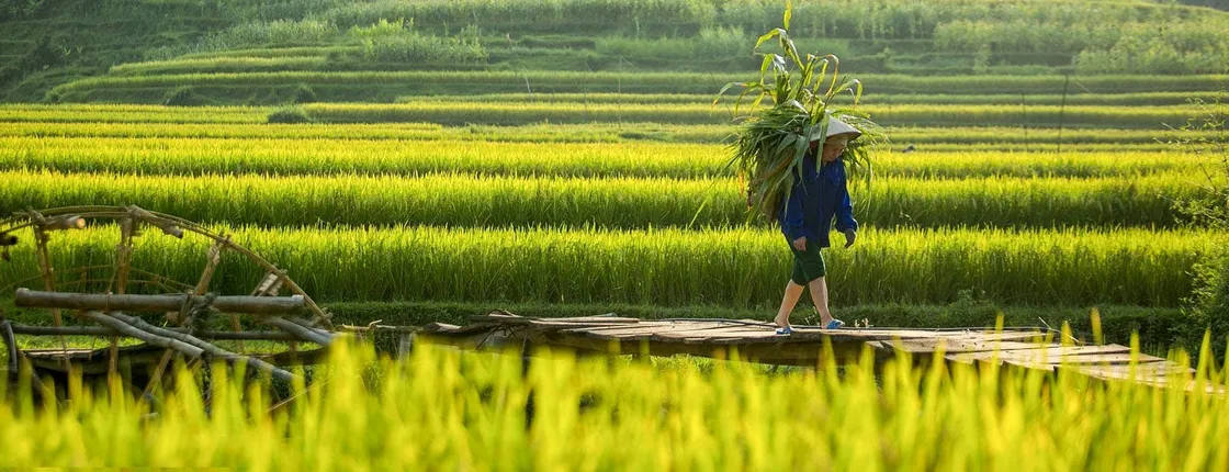 Full day excursion to Pu Luong with pick-up from Hanoi