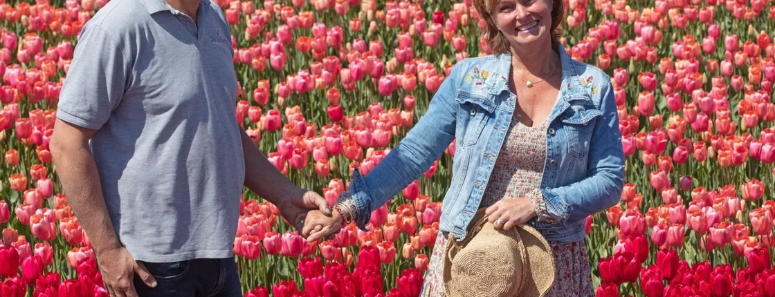 Day Trip to Keukenhof, Tulip Farm and Windmill Cruise