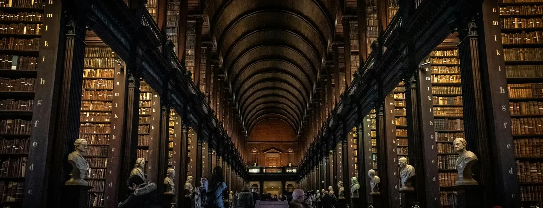 Historic highlights of Dublin with Trinity College private walking tour