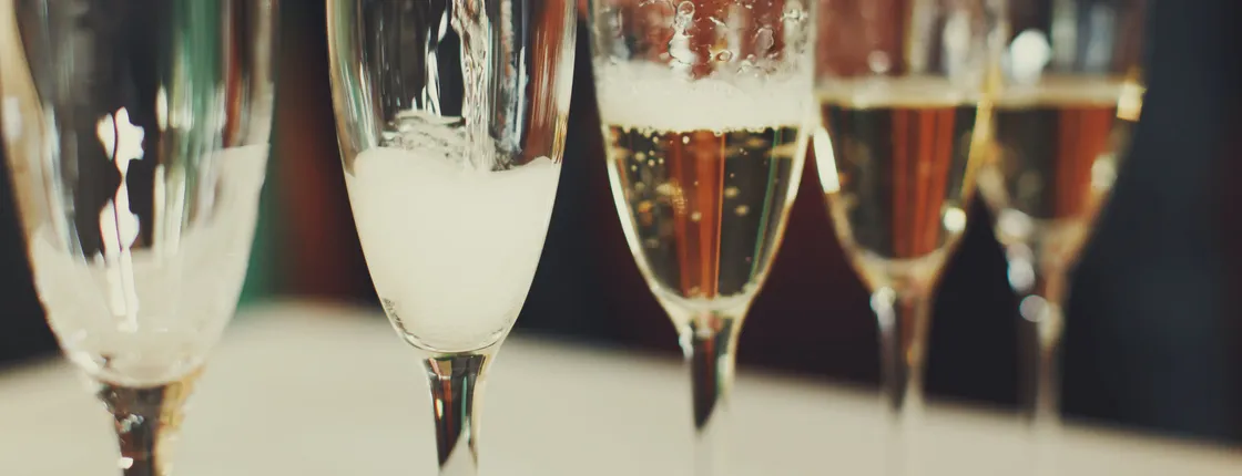 Day-trip in Champagne including Moët & Chandon, Hautvillers and family winery