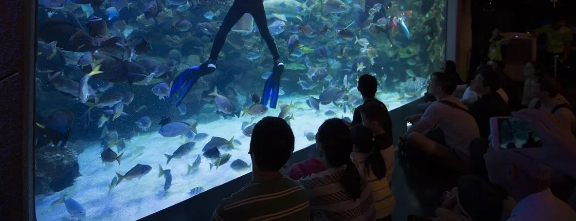 Aquaria KLCC Kuala Lumpur entrance ticket