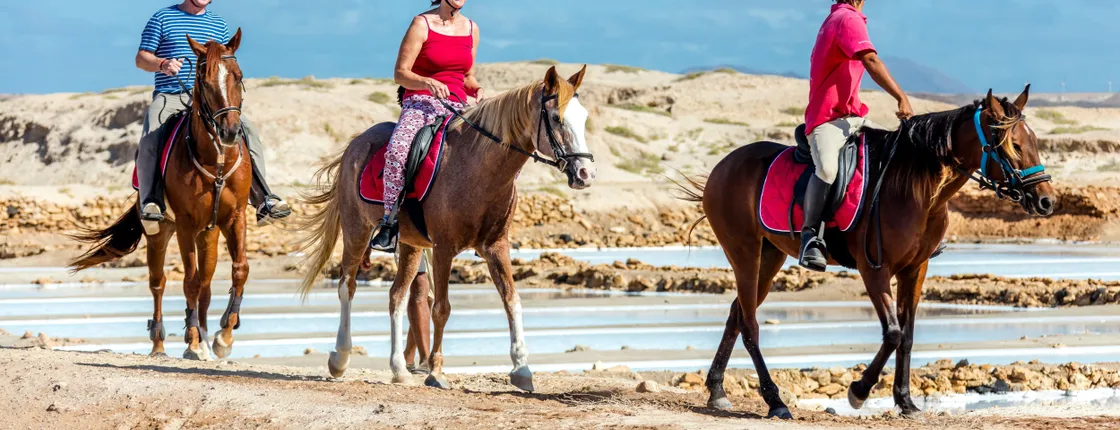 Sal guided horse riding tour
