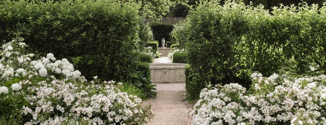 Guided tour of the Remarkable Garden at the Commanderie de Peyrassol