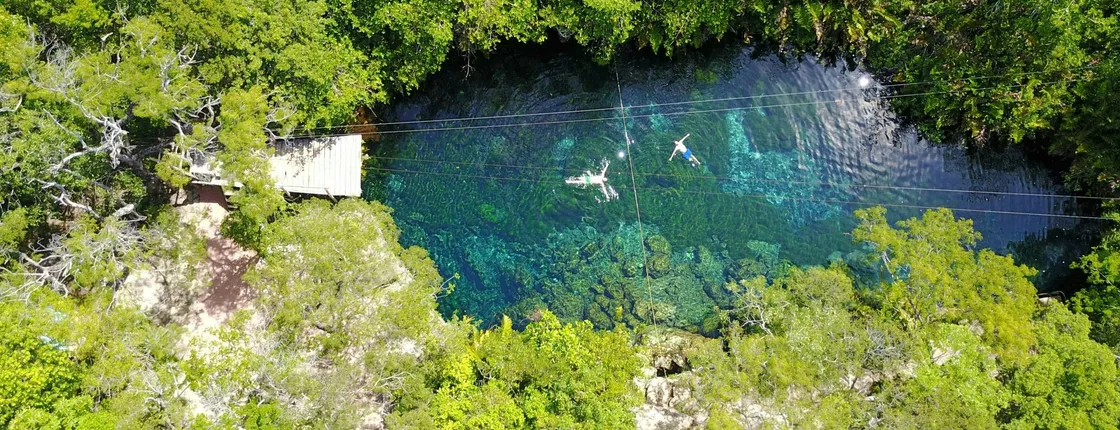 Cenotes and Swimming with Turtles Private Tour