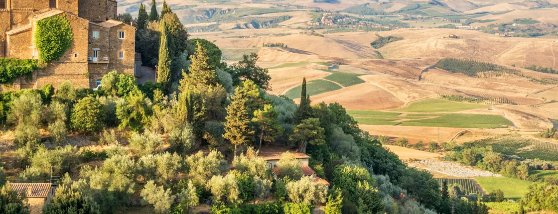Brunello wine tasting experience in Montalcino