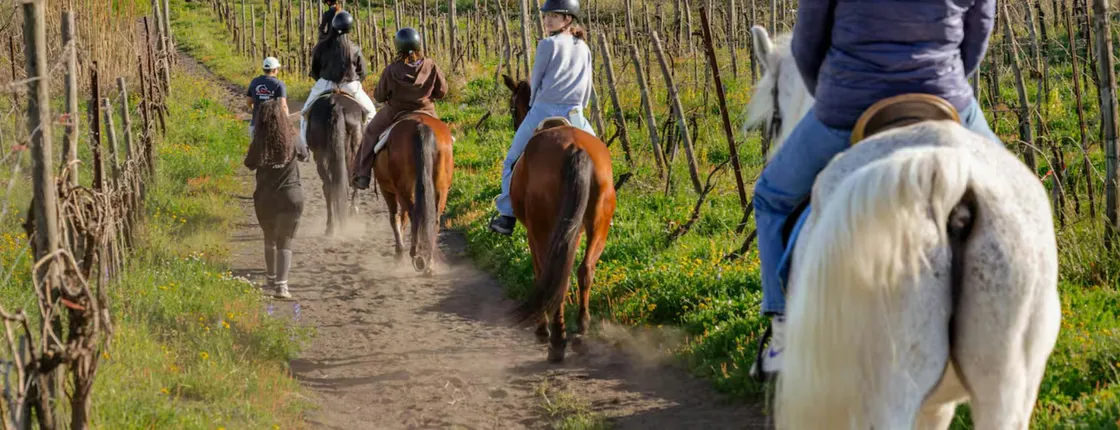 Mount Vesuvius horse riding with wine tasting and lunch