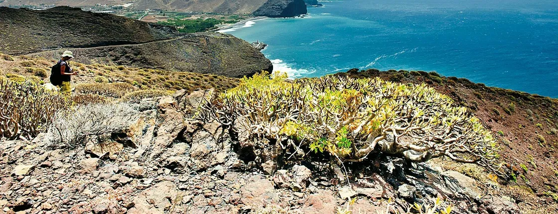 Full-day tour of Gran Canaria’s mountains and salt flats