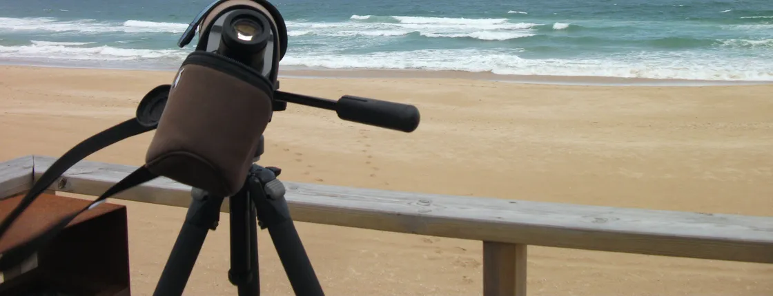 Alvor dunes birdwatching tour