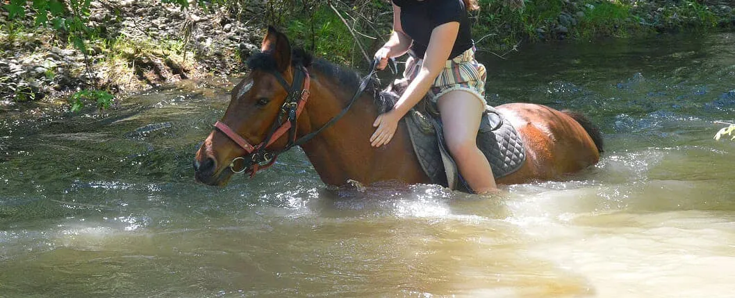 Marmaris horse riding safari