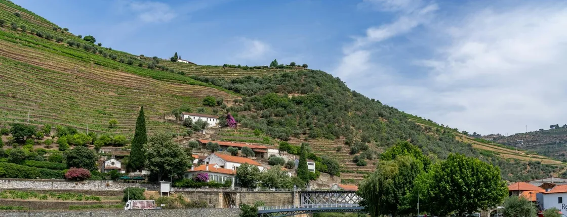 The essence of Douro and a 50-minute river cruise with views