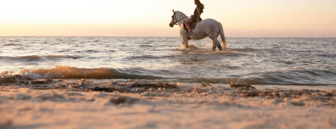 Santorini horseback ride and wine-tasting private experience