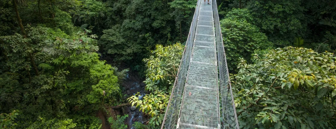Arenal Hanging Bridges Hike