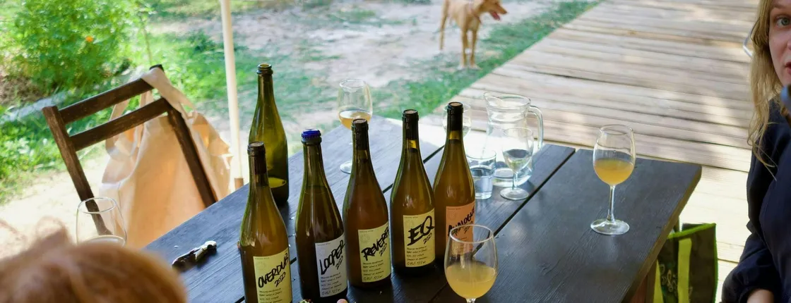 Organic vineyard guided tour with tasting in Vinhos Verdes region