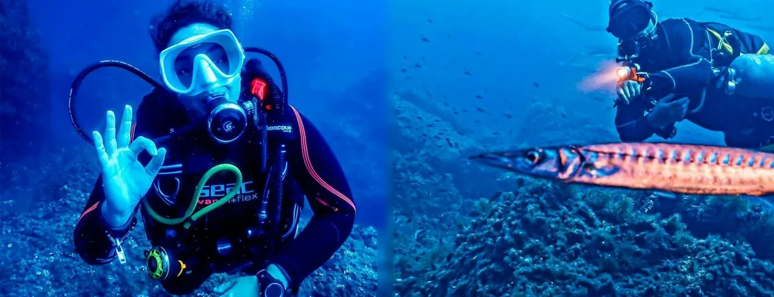 Scuba tour with two dives from Bonaire Harbour for certified divers