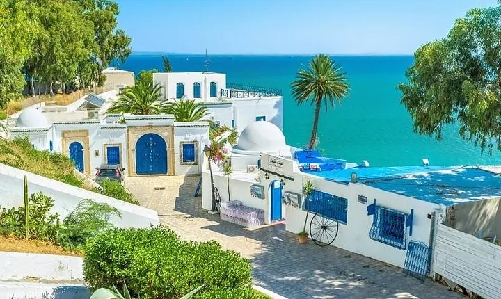 Private tour: Medina,Carthage ,Sidi Bou Said, Bardo Museum+lunch
