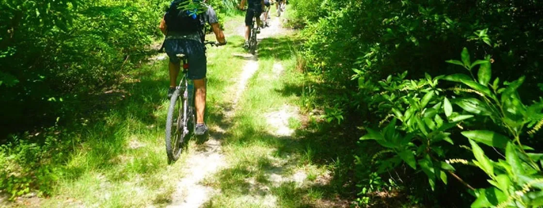 Bras d'Eau and Roches Noires mountain bike tour in Mauritius
