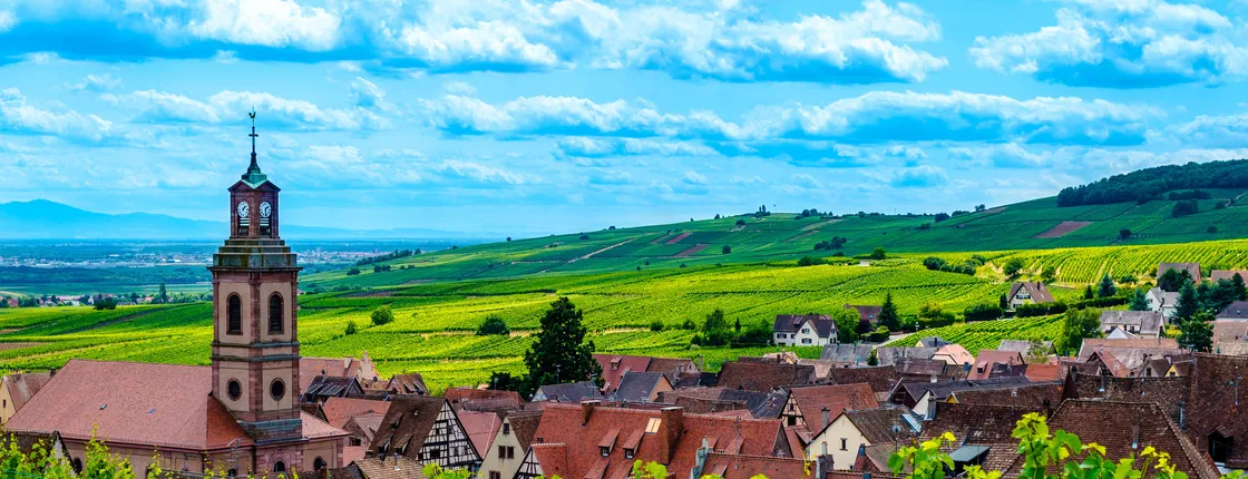 Alsace villages half-day shared tour from Colmar