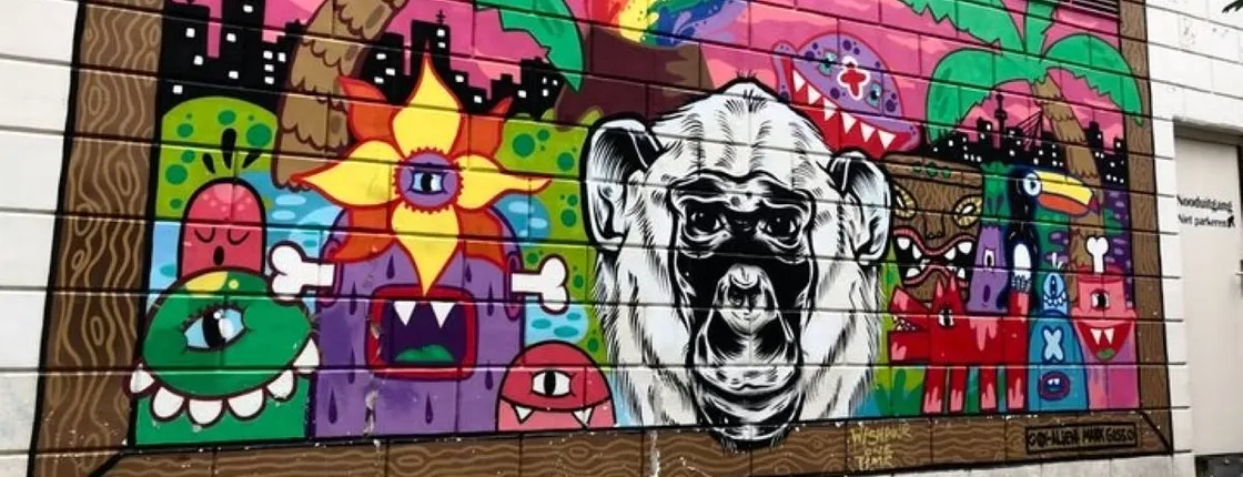 Rotterdam street art private walking tour