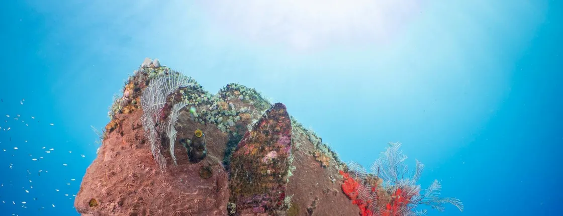 Bali scuba diving at Tulamben or Amed with two dives