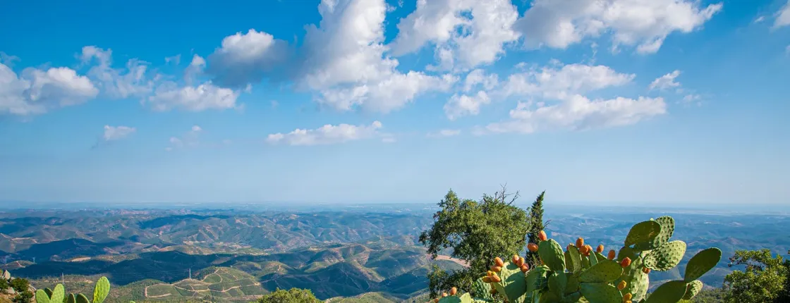 Fóia, Lagos and Cabo de São Vicente full-day tour