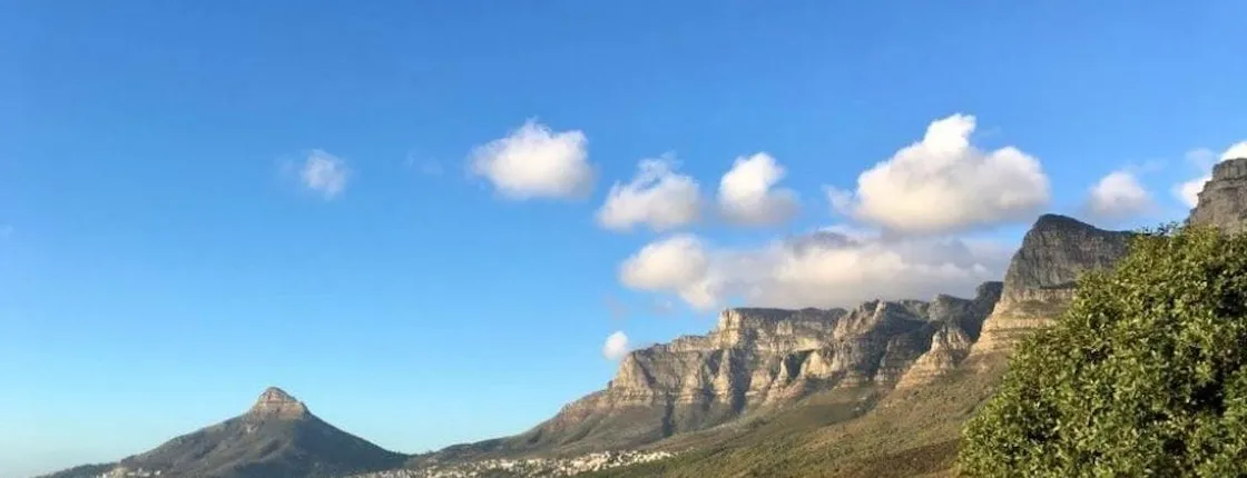 Marine Wildlife Boat Cruise and Cape Peninsula Tour
