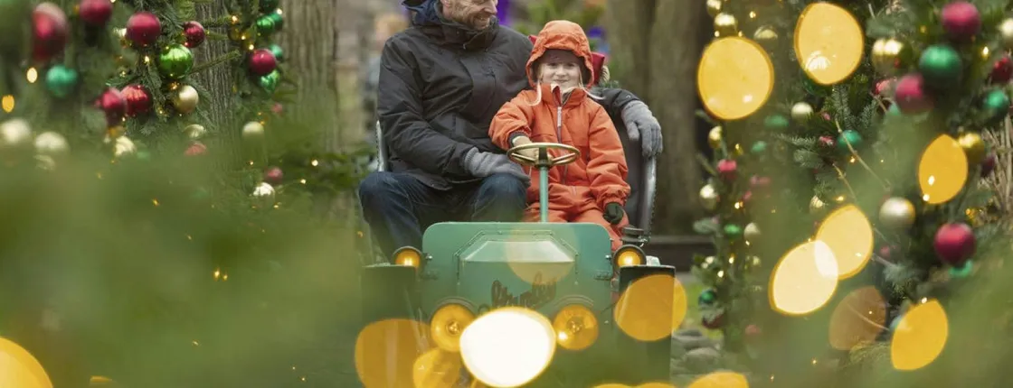 Tivoli Gardens Christmas admission ticket and optional ride pass