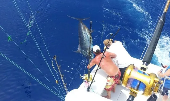 Deep Sea Fishing Tour