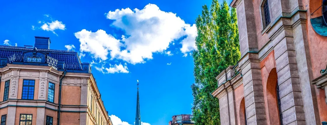 Explore Stockholm's art and culture with a local