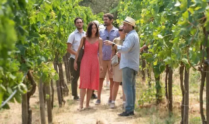 Authentic Farm Tour with Pizza, Cheese, Wine & Limoncello Tasting