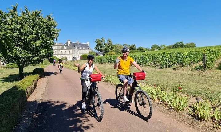 Private Amboise E Bike Tour Clos Luce