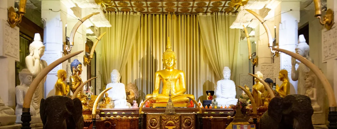 Kandy and Nuwara Eliya two-day tour with train ride