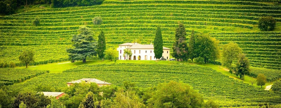 Willamette Valley wineries tour from Portland