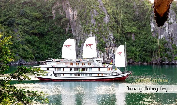 Signature Cruises Explore Bai Tu Long Bay,Less Tourist Area 2D1N