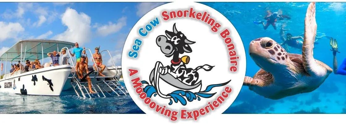 Seacow double dip snorkeling tour in Bonaire