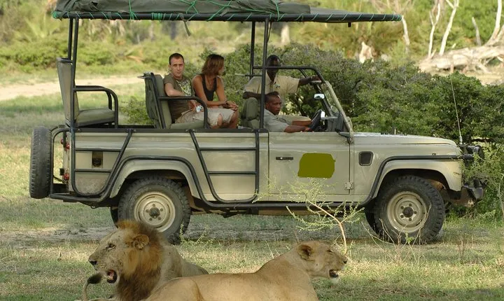 5Days Tanzania Camping Safari to Lake Manyara Serengeti And Ngorongoro Crater from Arusha