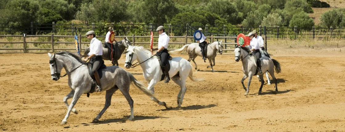 El Carrascal Country Estate