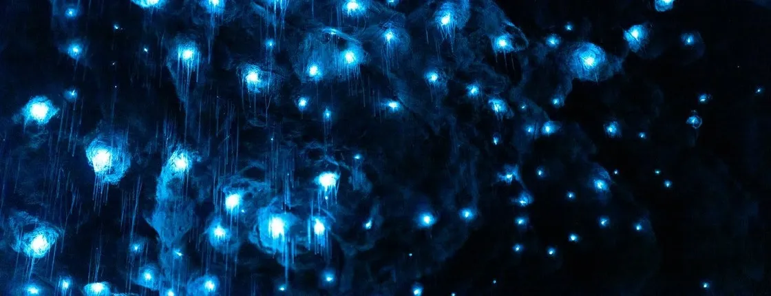 Te Anau Glowworm Caves